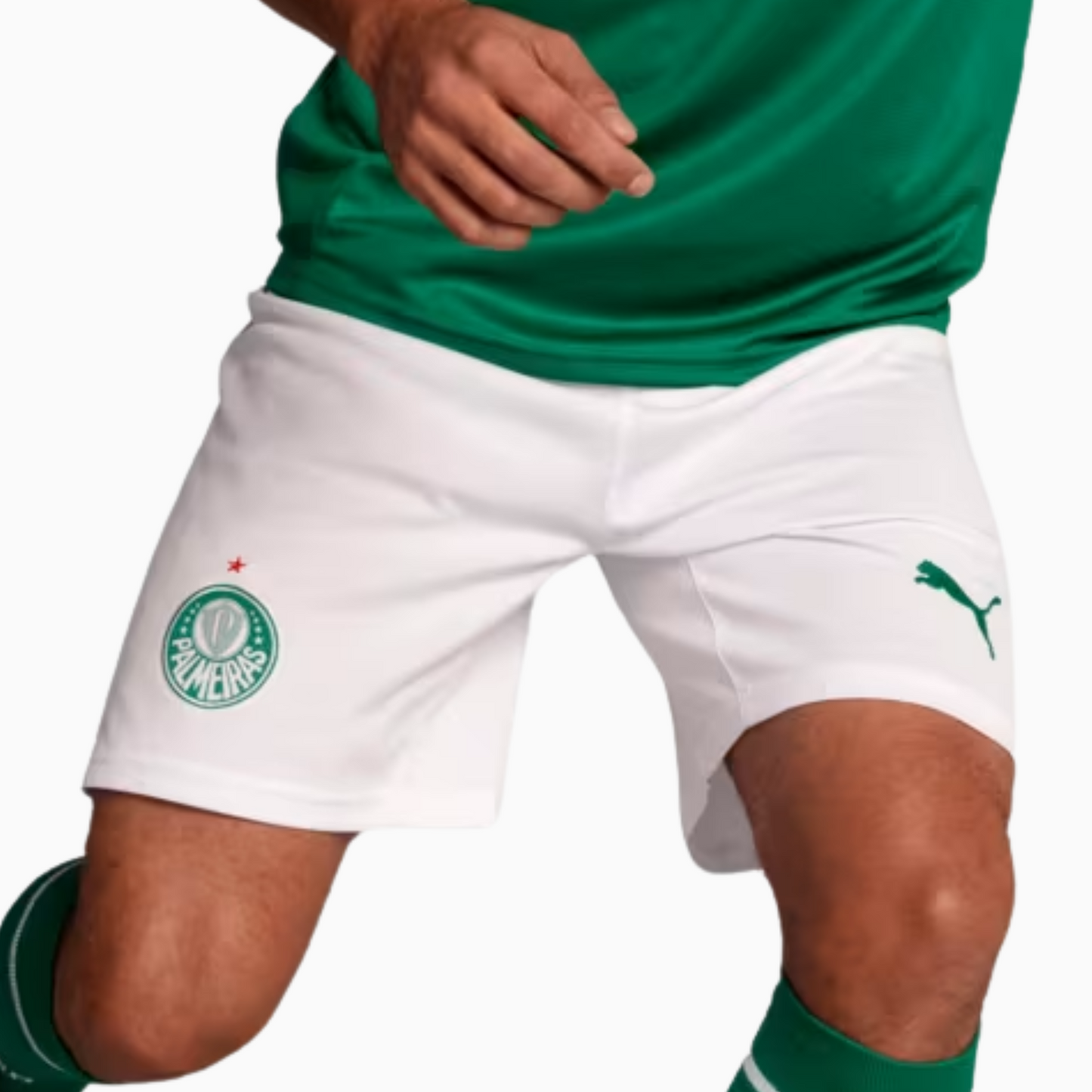 Shorts Palmeiras 2025 I – Torcedor